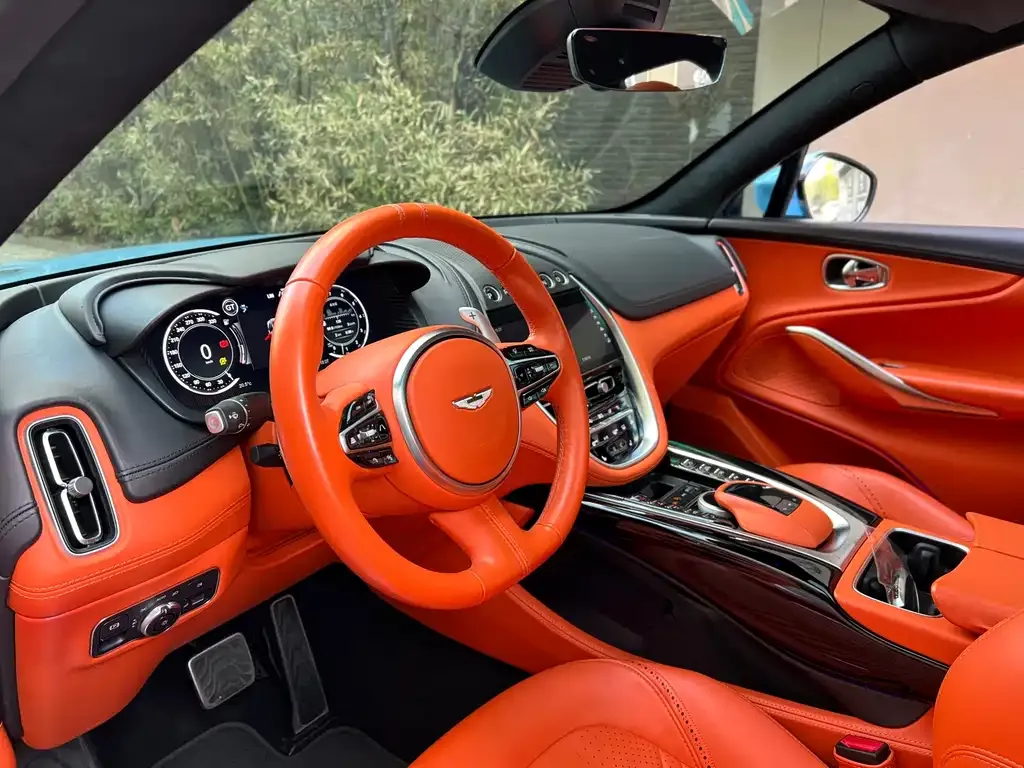 Aston Martin DBX 2022 из CN, фото 3