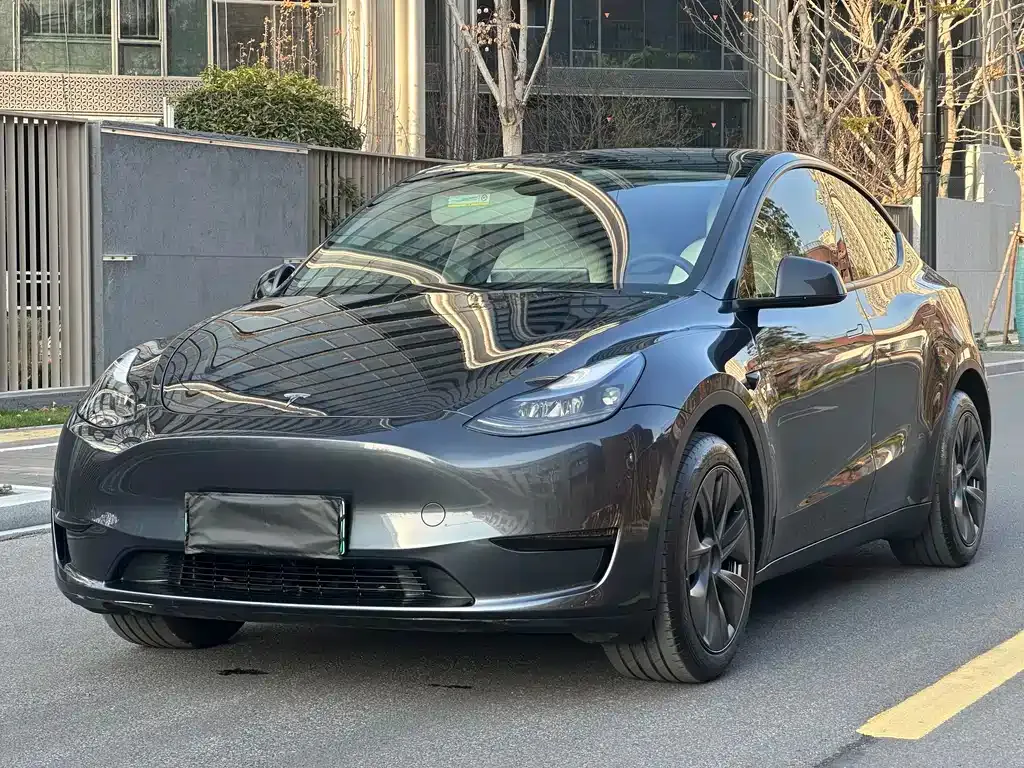 Tesla Model Y 2024 из CN, фото 1