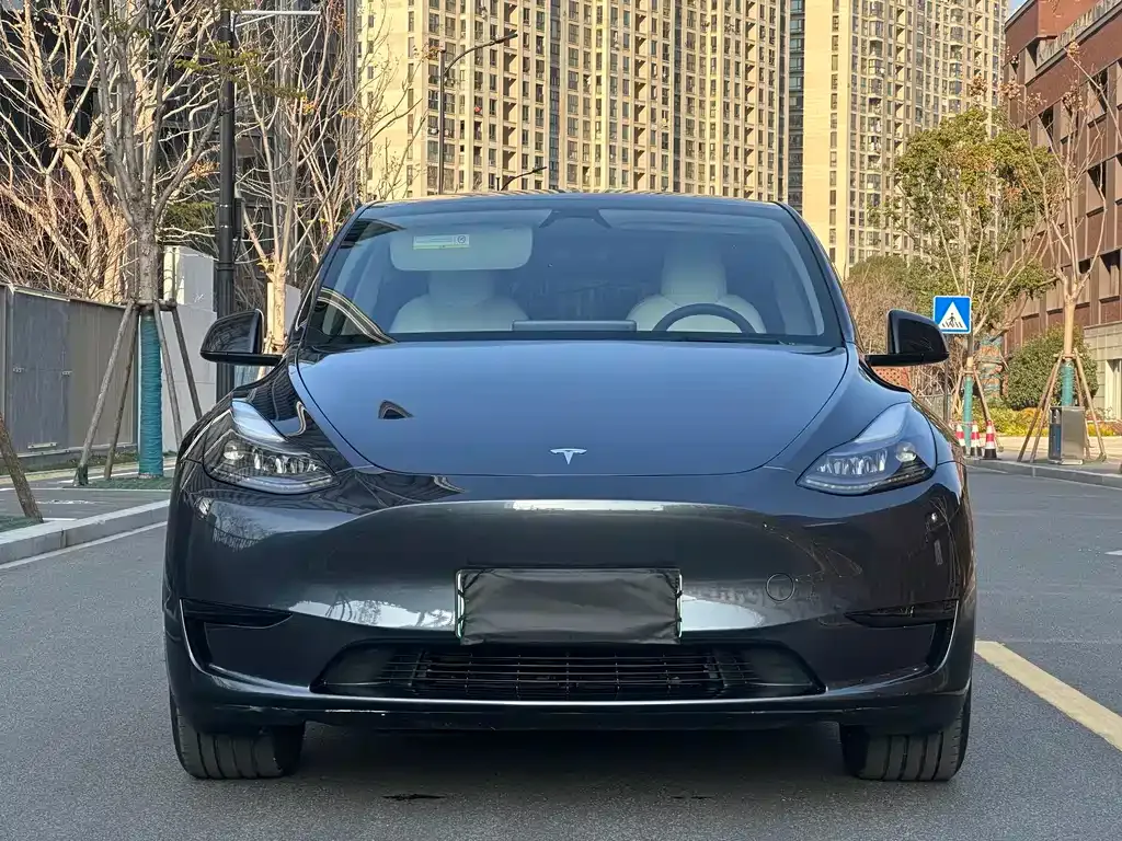 Tesla Model Y 2024 из CN, фото 6
