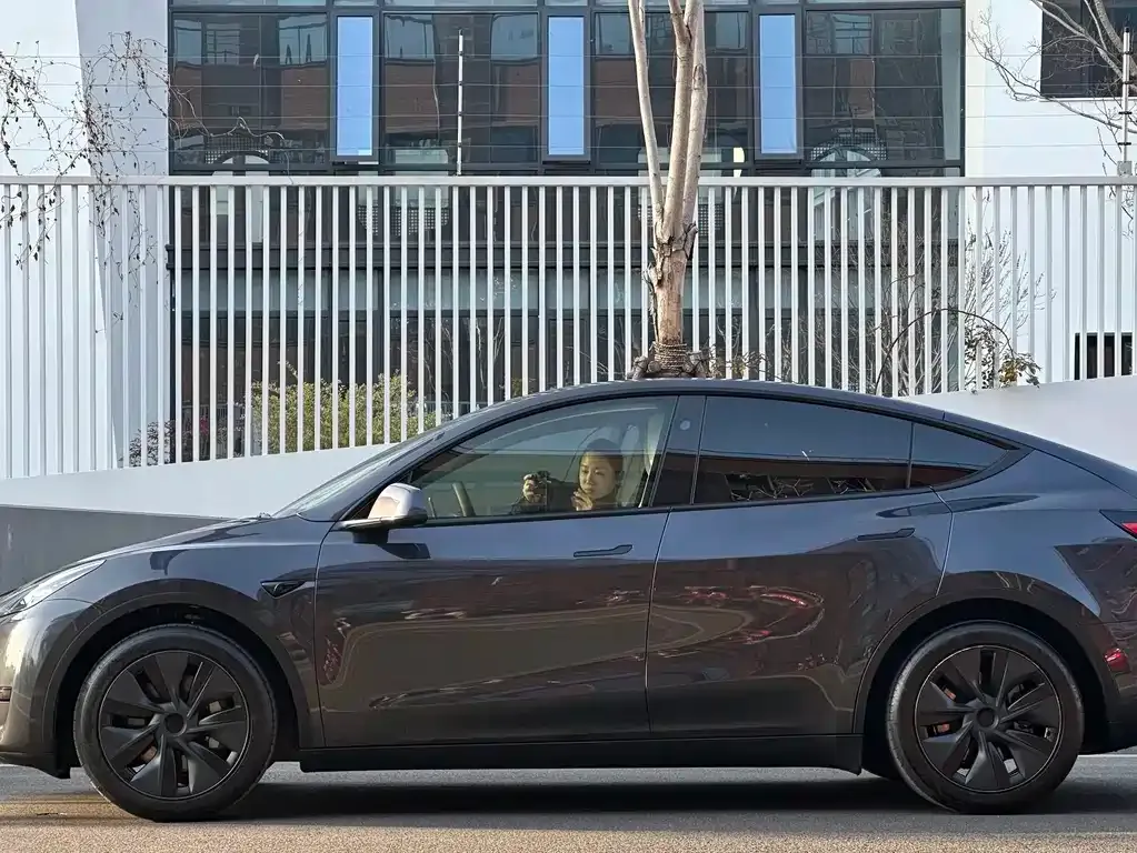 Tesla Model Y 2024 из CN, фото 9