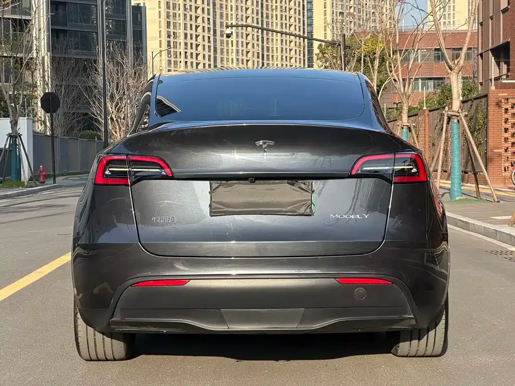 Tesla Model Y 2024 из CN, фото 10