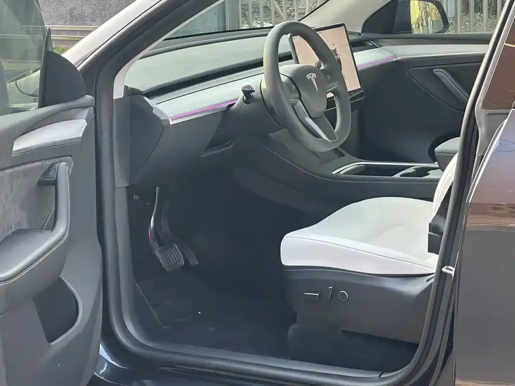 Tesla Model Y 2024 из CN, фото 4