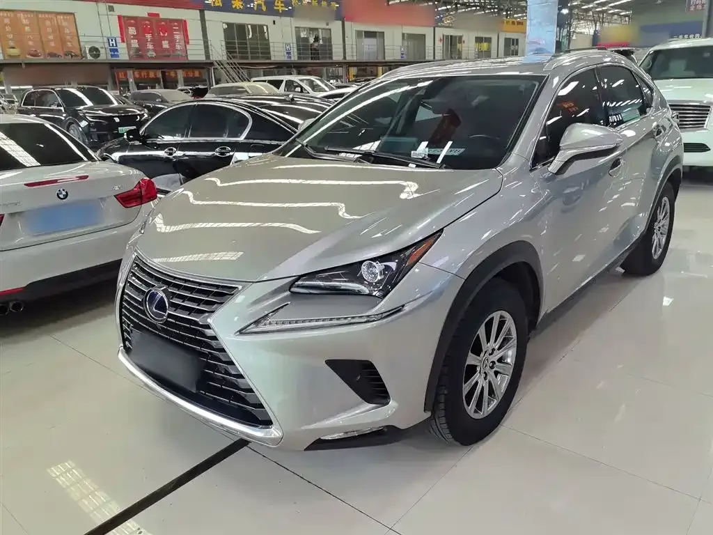 Lexus NX 2021 из CN, фото 4