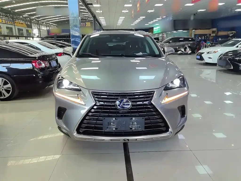 Lexus NX 2021 из CN, фото 6