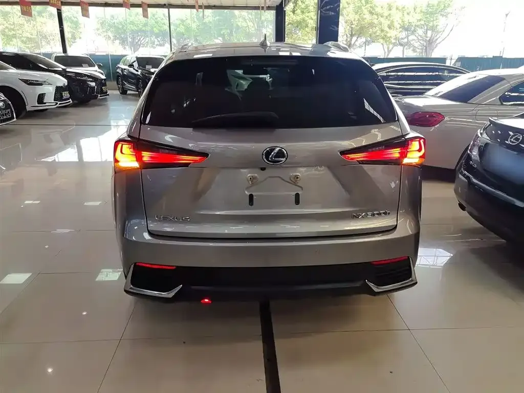 Lexus NX 2021 из CN, фото 3