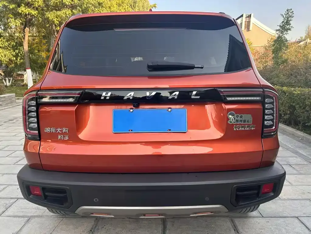 Haval Big Dog 2022 из CN, фото 8