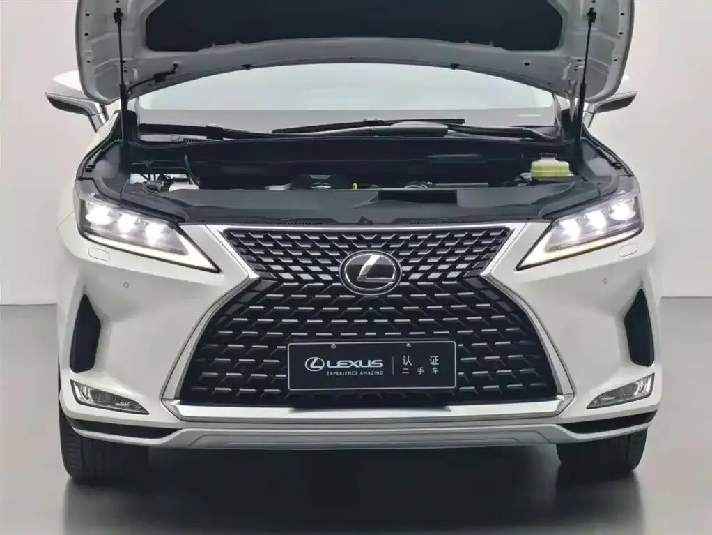 Lexus RX 2023 из CN, фото 10