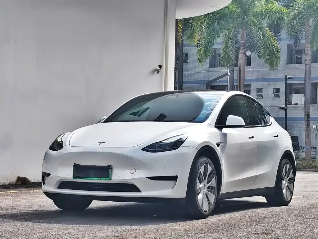 Tesla Model Y 2022 из CN, фото 1