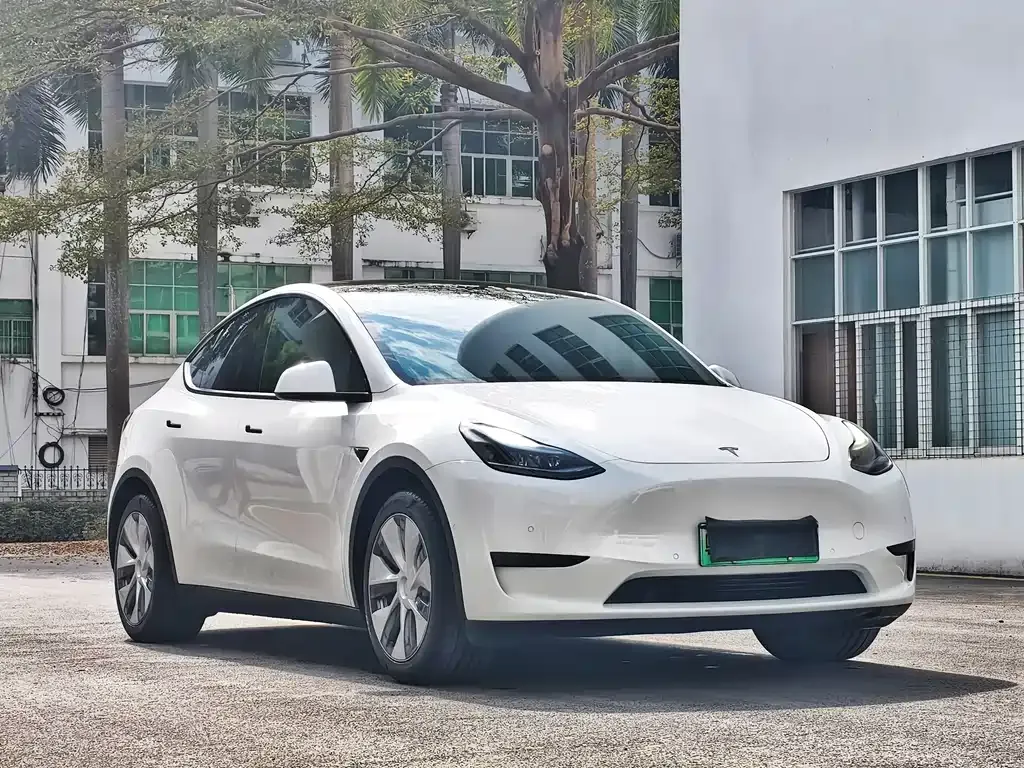 Tesla Model Y 2022 из CN, фото 7