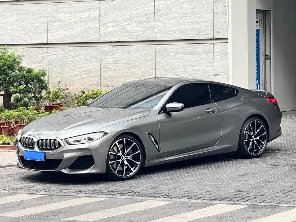 BMW 8 Series 2021 из CN, фото 1