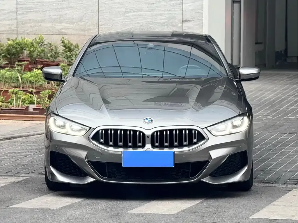 BMW 8 Series 2021 из CN, фото 2