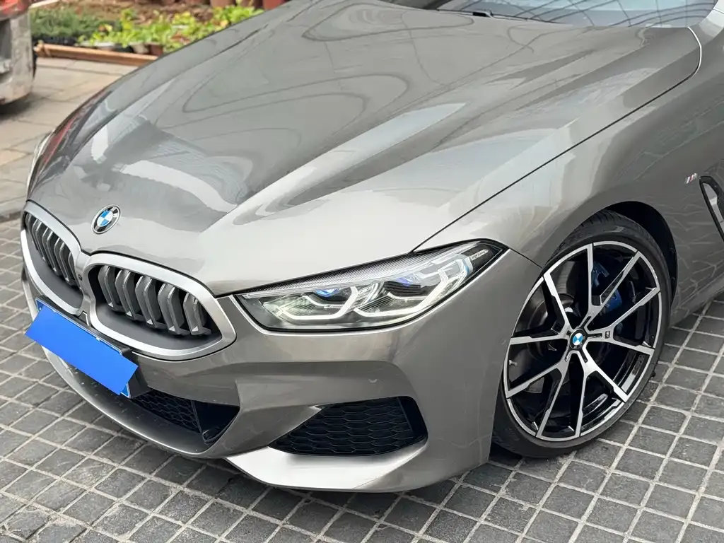 BMW 8 Series 2021 из CN, фото 8