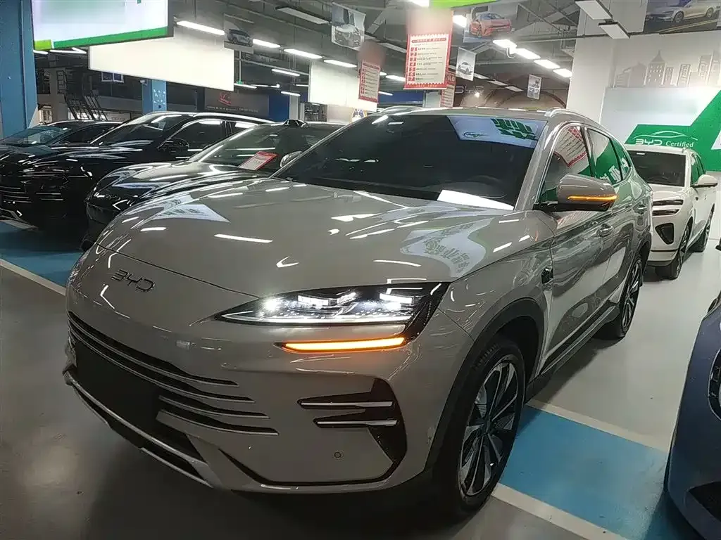 BYD PLUS New Energy 2025 из CN, фото 10