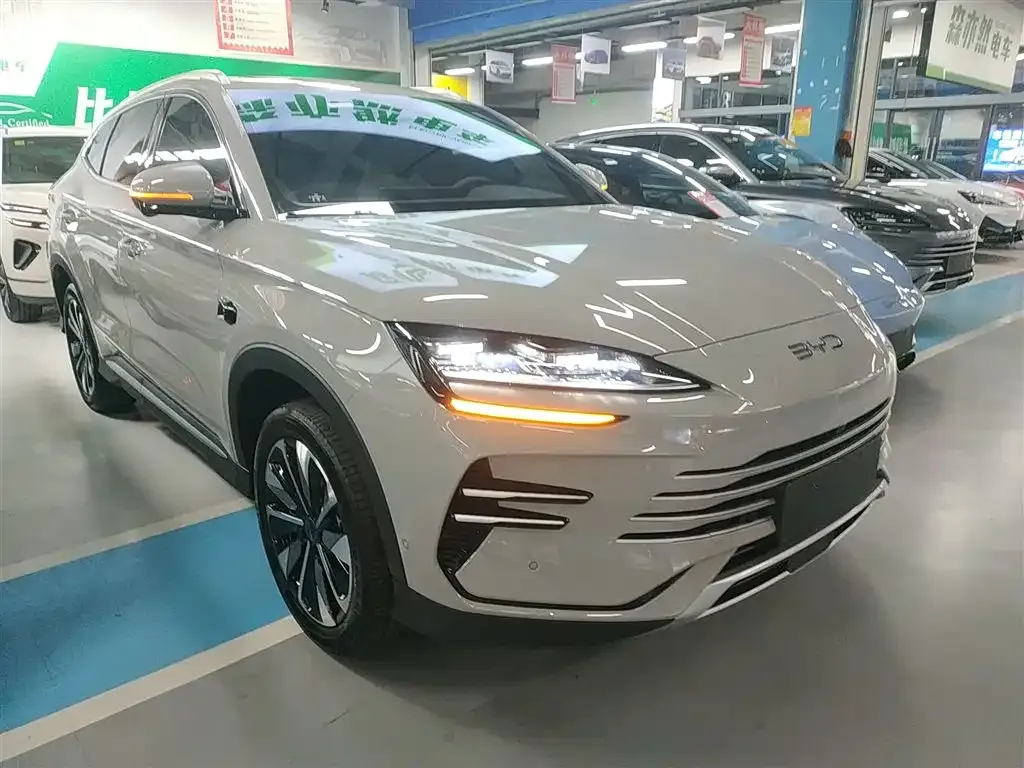 BYD PLUS New Energy 2025 из CN, фото 5
