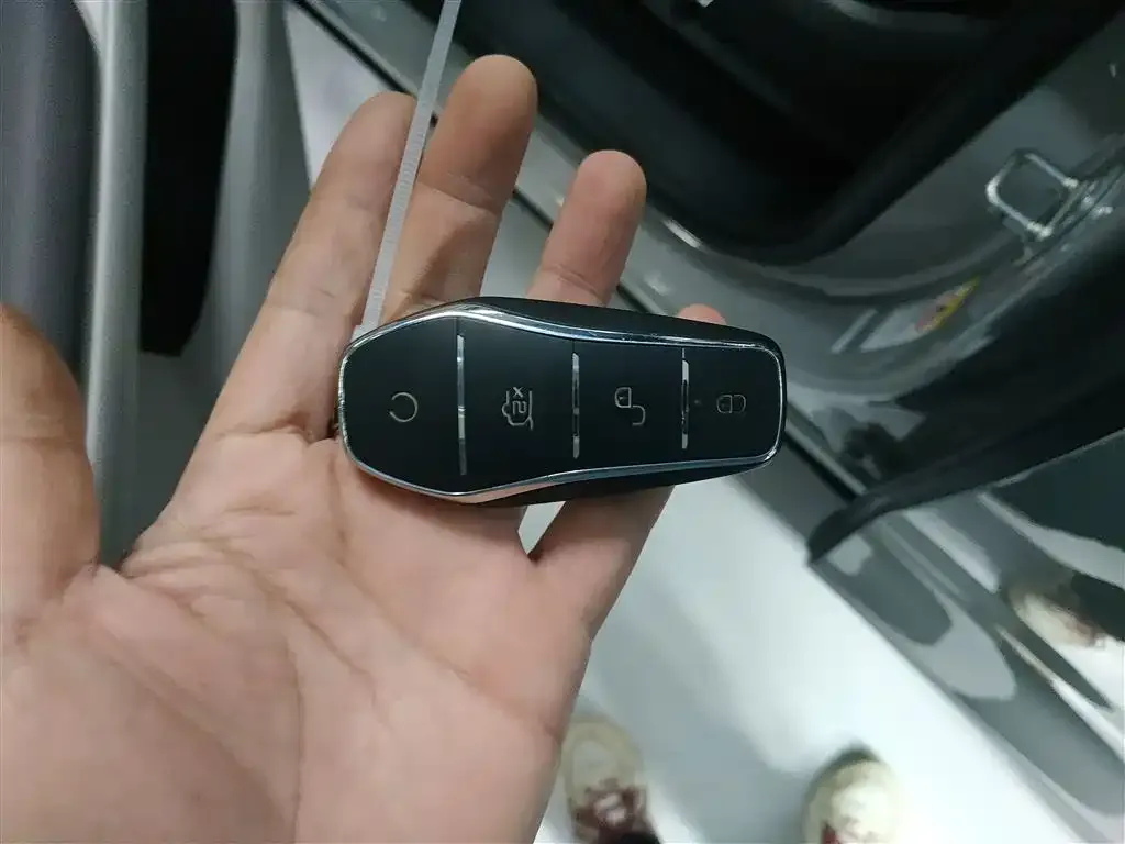 BYD PLUS New Energy 2025 из CN, фото 2