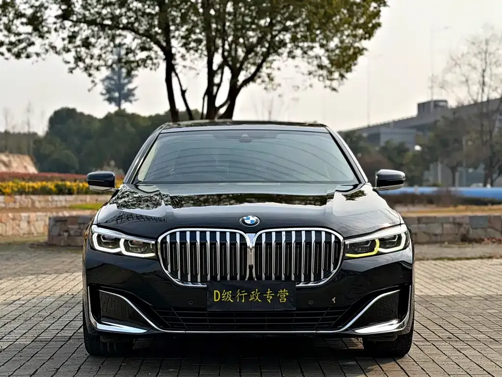 BMW 7 Series 2021 из CN, фото 9