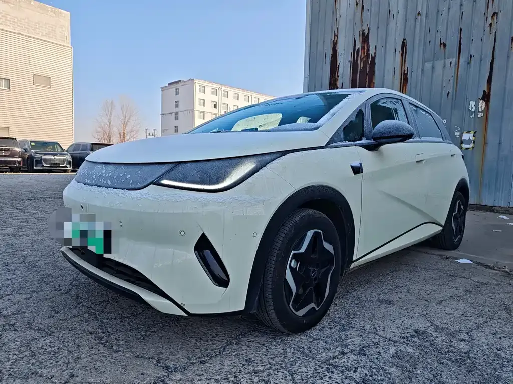 BYD Dolphin 2025 из CN, фото 1