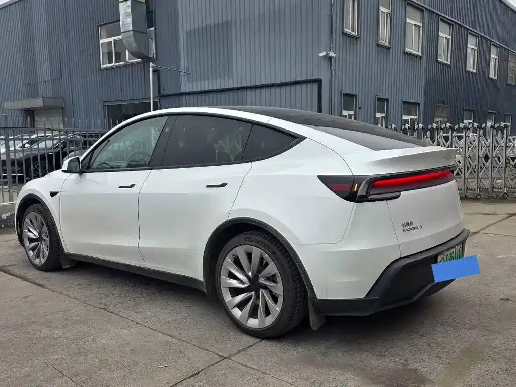 Tesla Model Y 2025 из CN, фото 6