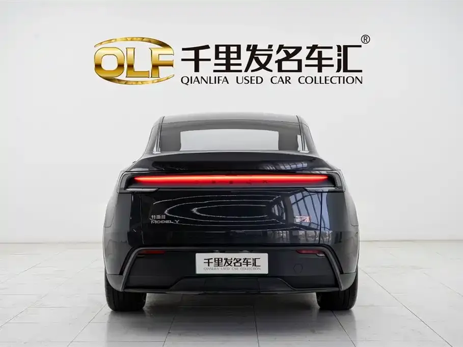 Tesla Model Y 2025 из CN, фото 7