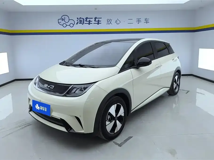 BYD Dolphin 2024 из CN, фото 1