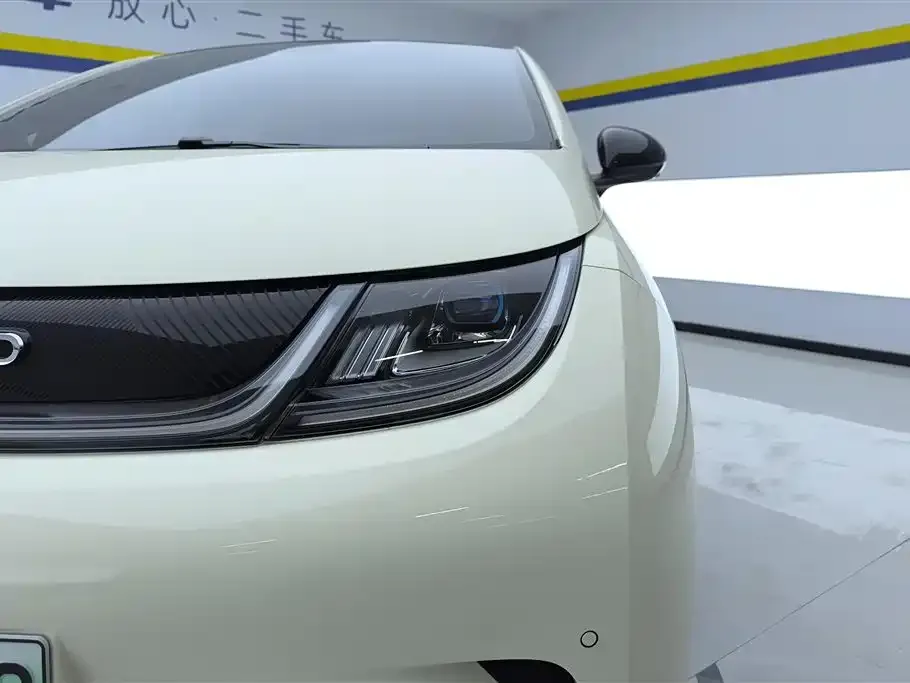 BYD Dolphin 2024 из CN, фото 6