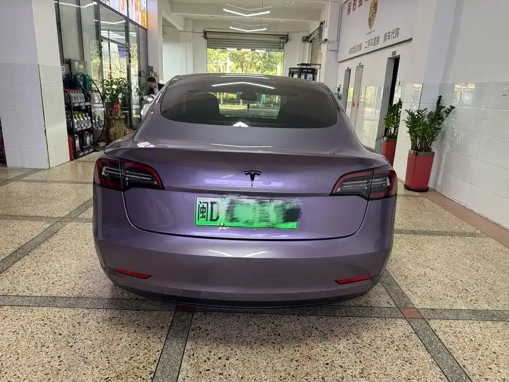 Tesla Model 3 2021 из CN, фото 8