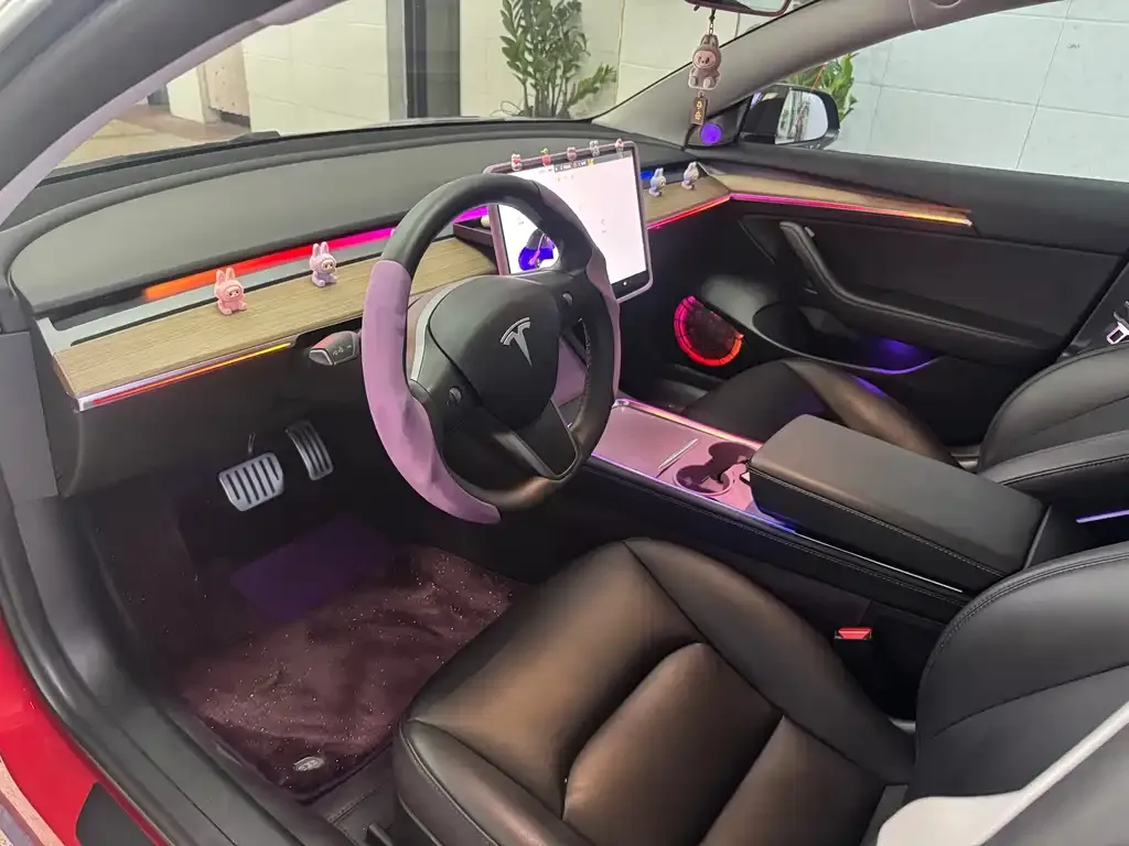 Tesla Model 3 2021 из CN, фото 4