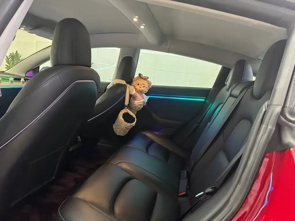 Tesla Model 3 2021 из CN, фото 3
