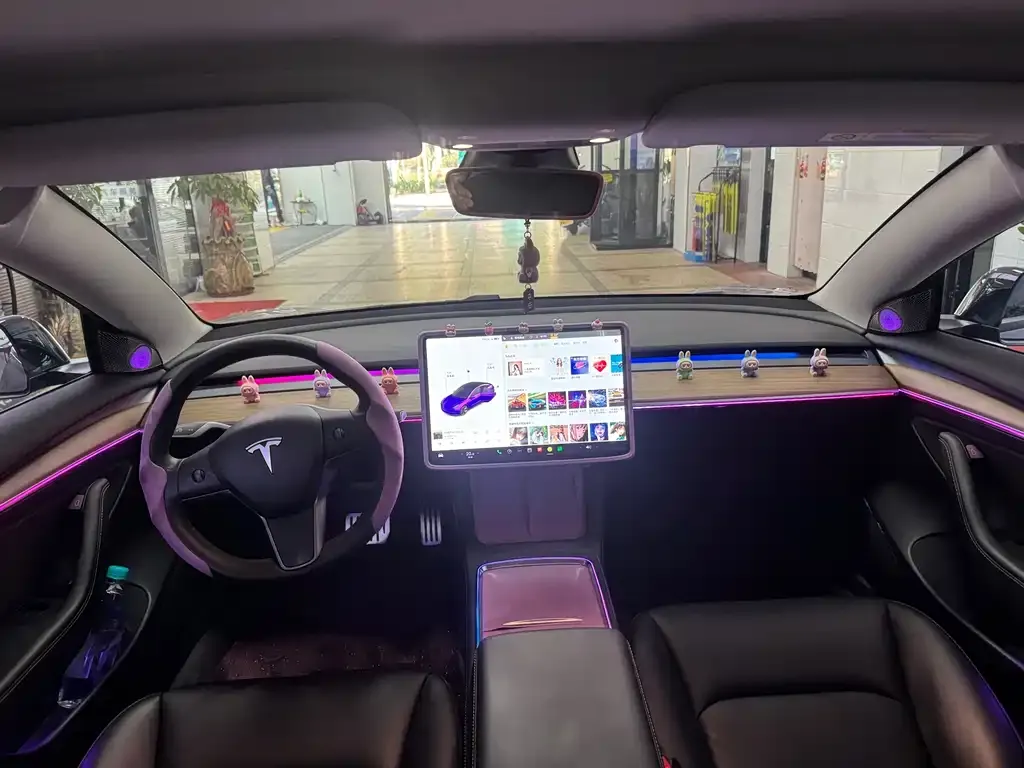 Tesla Model 3 2021 из CN, фото 5