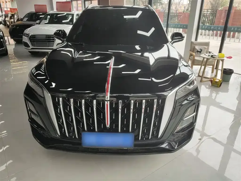 Hongqi HS5 2024 из CN, фото 4