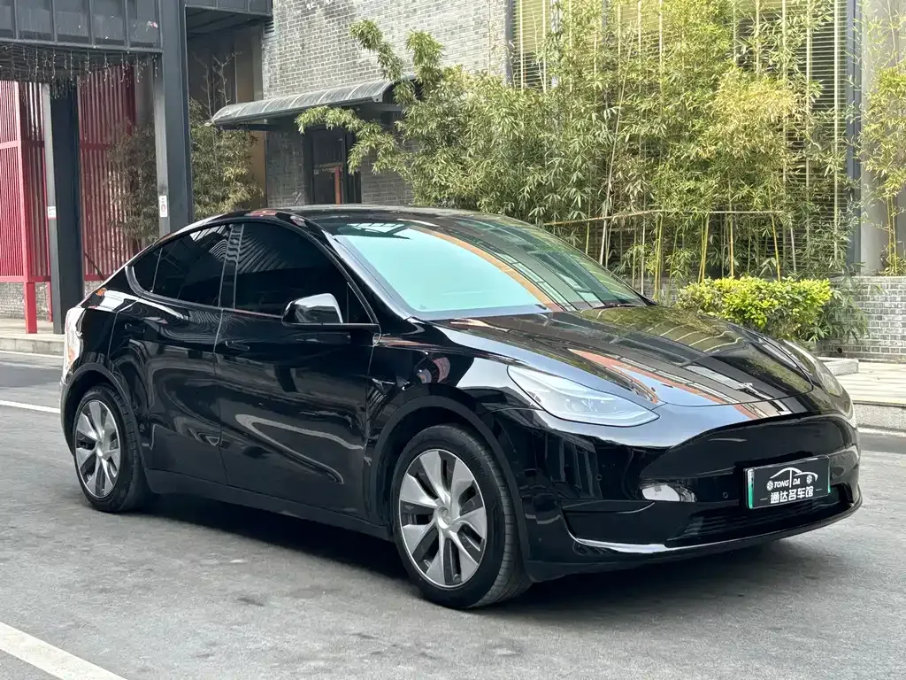 Tesla Model Y — фото 10