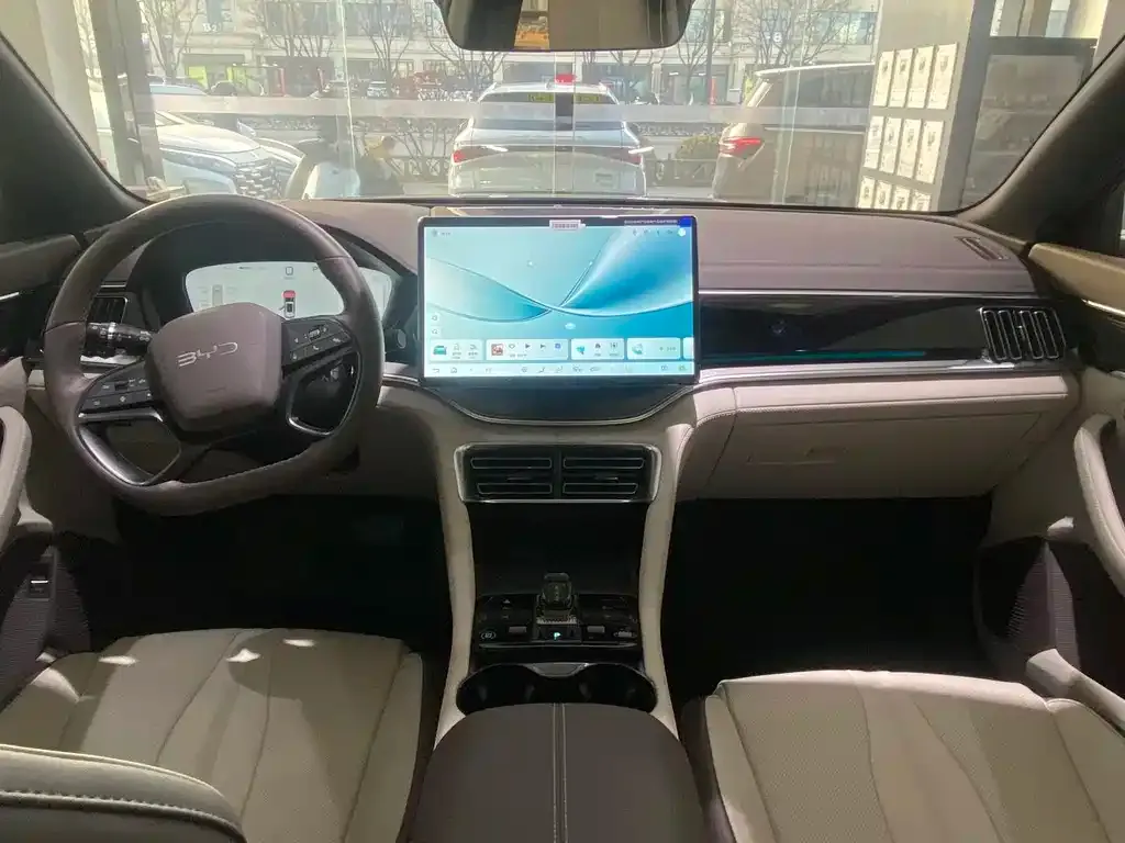BYD PLUS New Energy 2025 из CN, фото 9