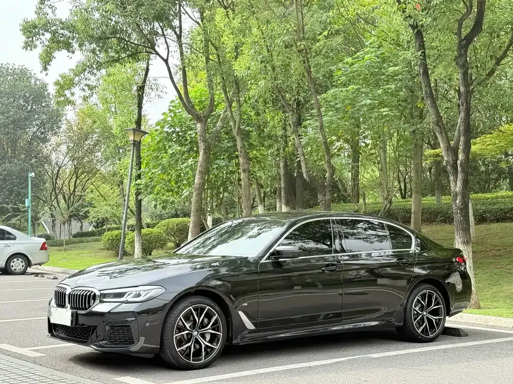 BMW 5 Series 2023 из CN, фото 1