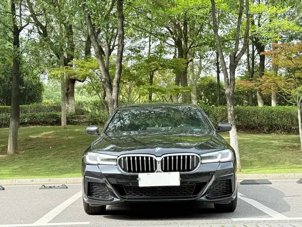 BMW 5 Series 2023 из CN, фото 4