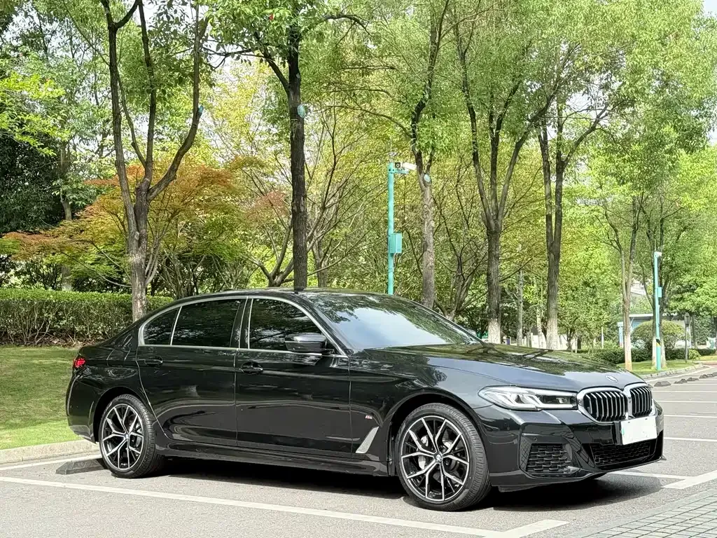 BMW 5 Series 2023 из CN, фото 10