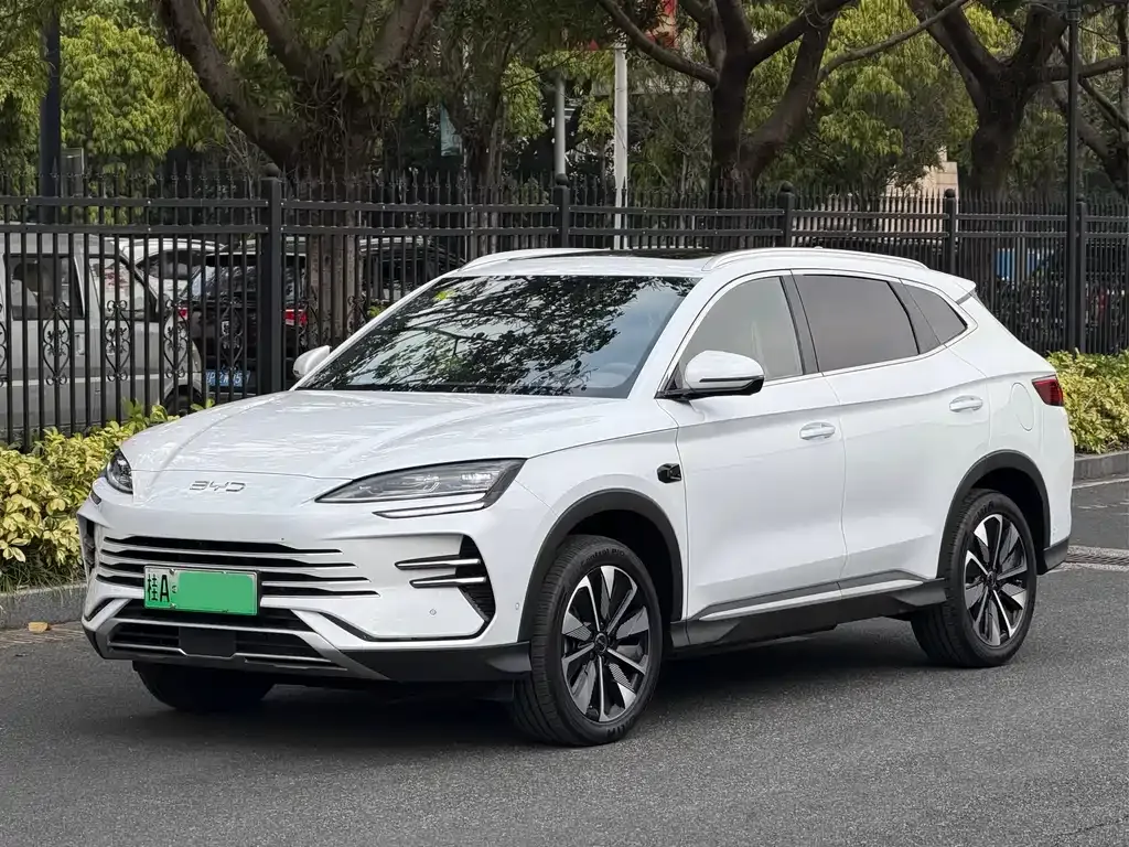 BYD PLUS New Energy 2025 из CN, фото 1