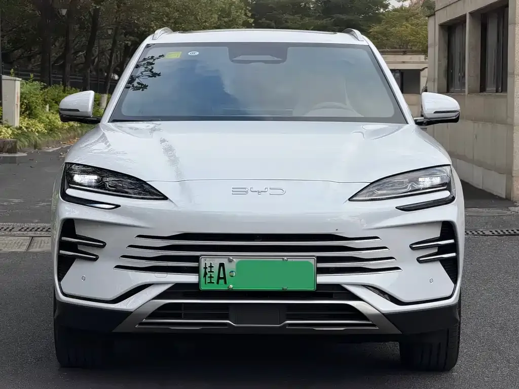 BYD PLUS New Energy 2025 из CN, фото 7