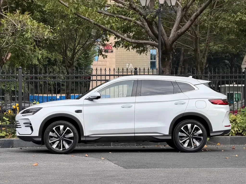BYD PLUS New Energy 2025 из CN, фото 10