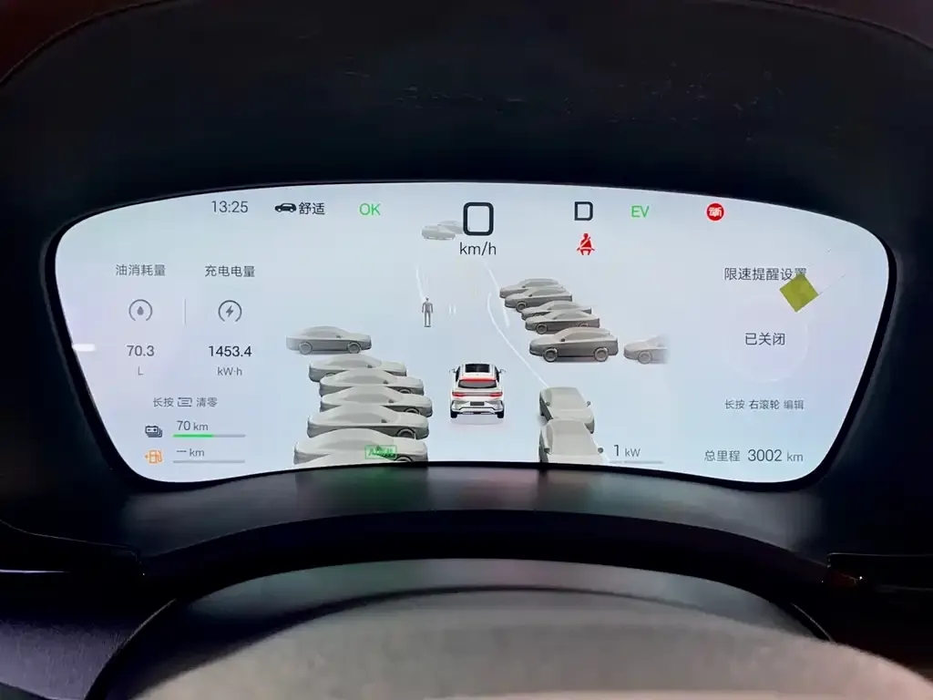 BYD PLUS New Energy 2025 из CN, фото 3