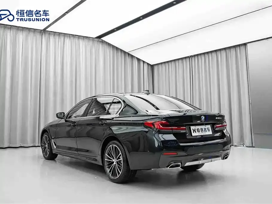 BMW 5 Series 2024 из CN, фото 10