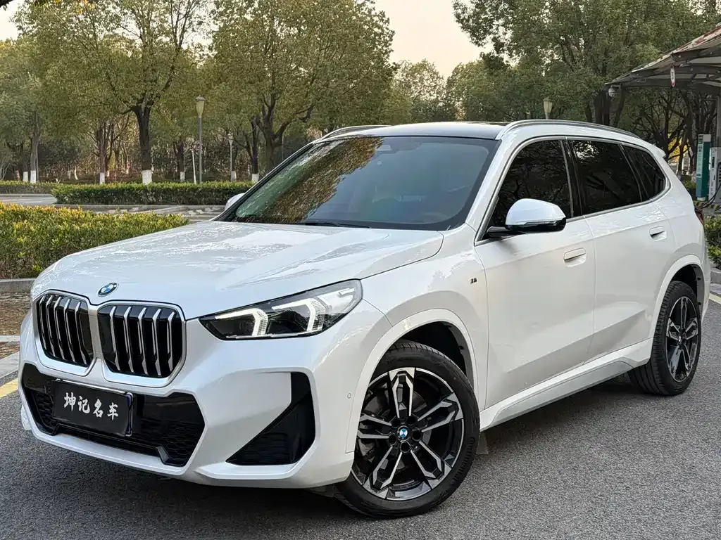 BMW X1 — фото 1