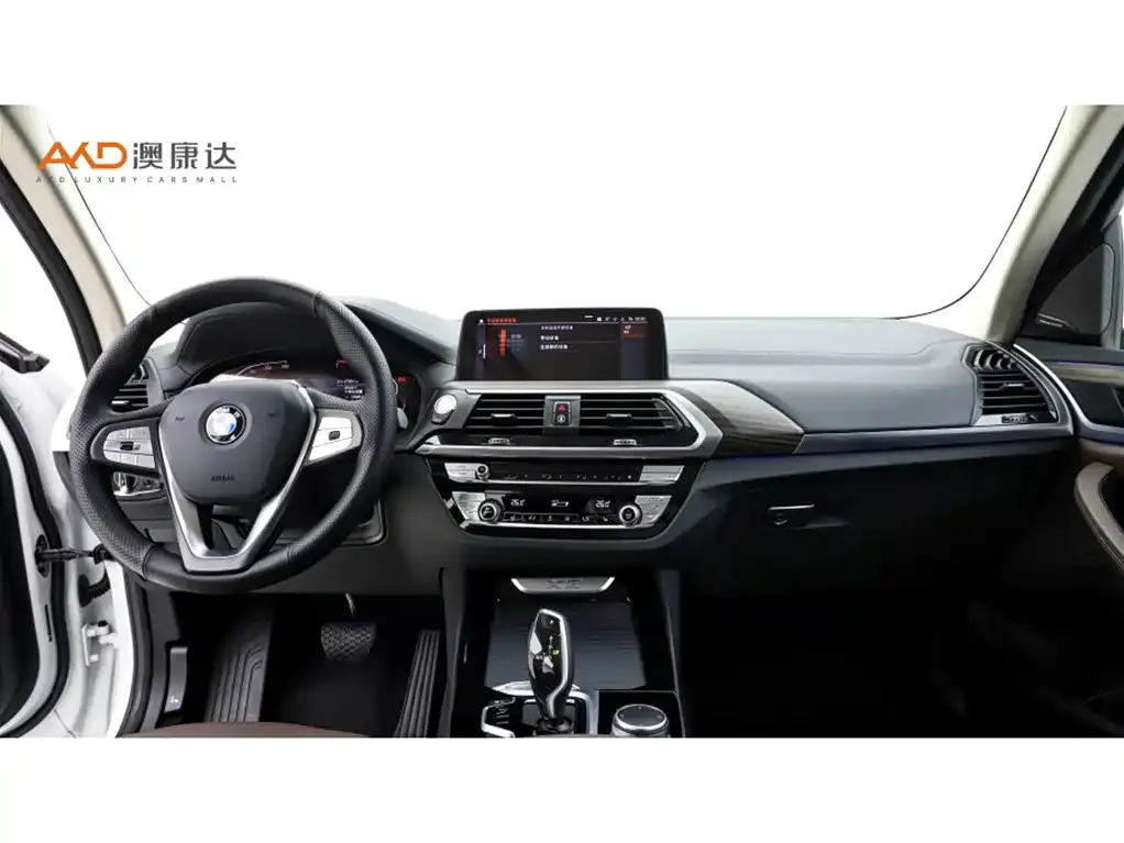 BMW X3 2021 из CN, фото 8