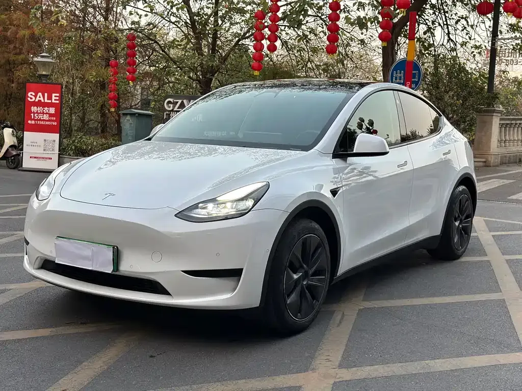 Tesla Model Y 2023 из CN, фото 1
