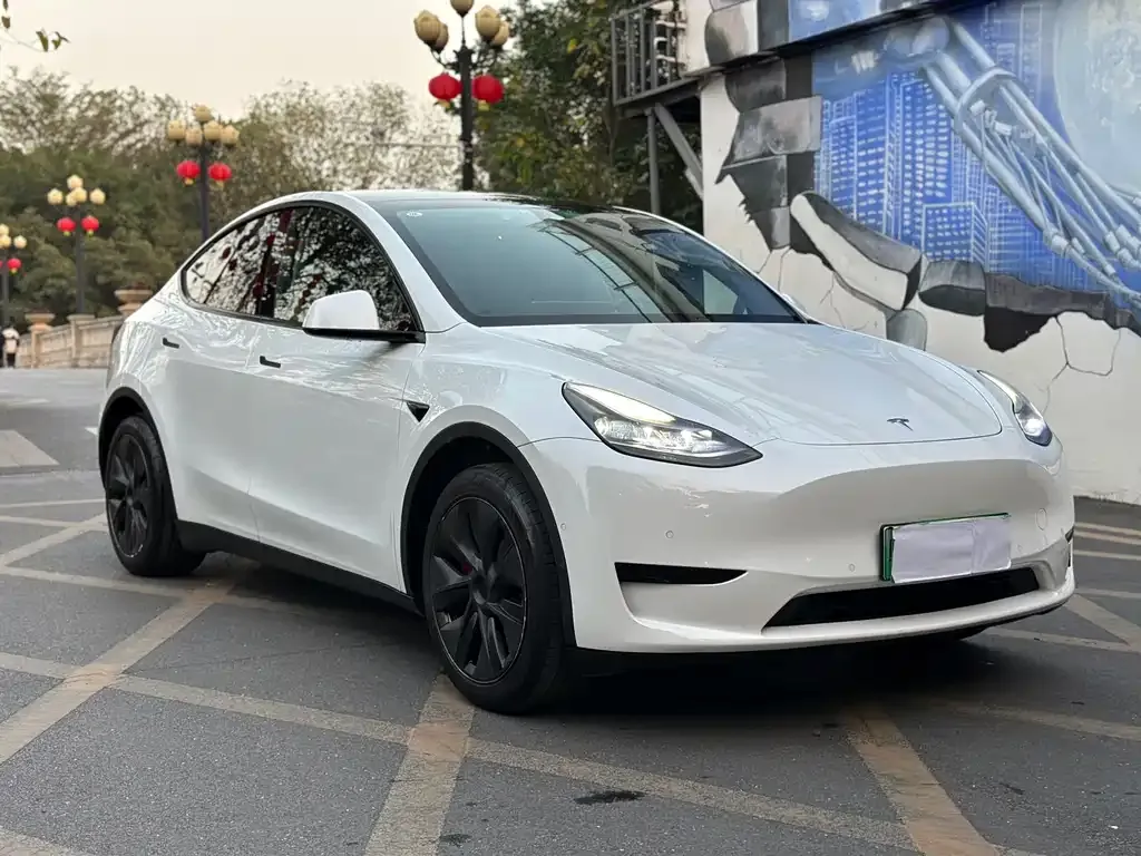 Tesla Model Y 2023 из CN, фото 6