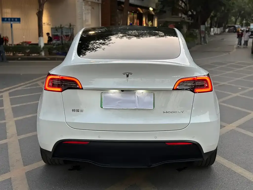 Tesla Model Y 2023 из CN, фото 2