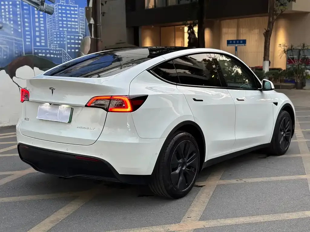 Tesla Model Y 2023 из CN, фото 5