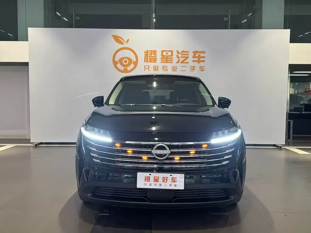 Nissan Teramont 2024 из CN, фото 5