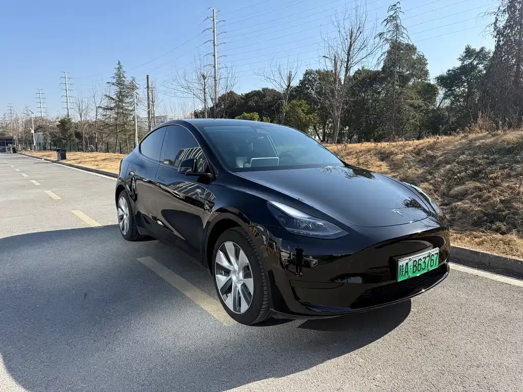 Tesla Model Y 2022 из CN, фото 4