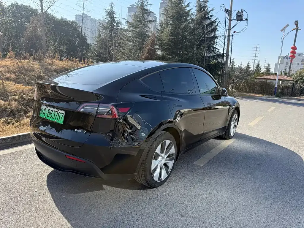 Tesla Model Y 2022 из CN, фото 6