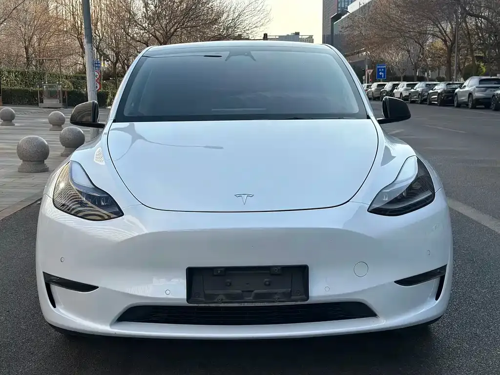 Tesla Model Y 2024 из CN, фото 6